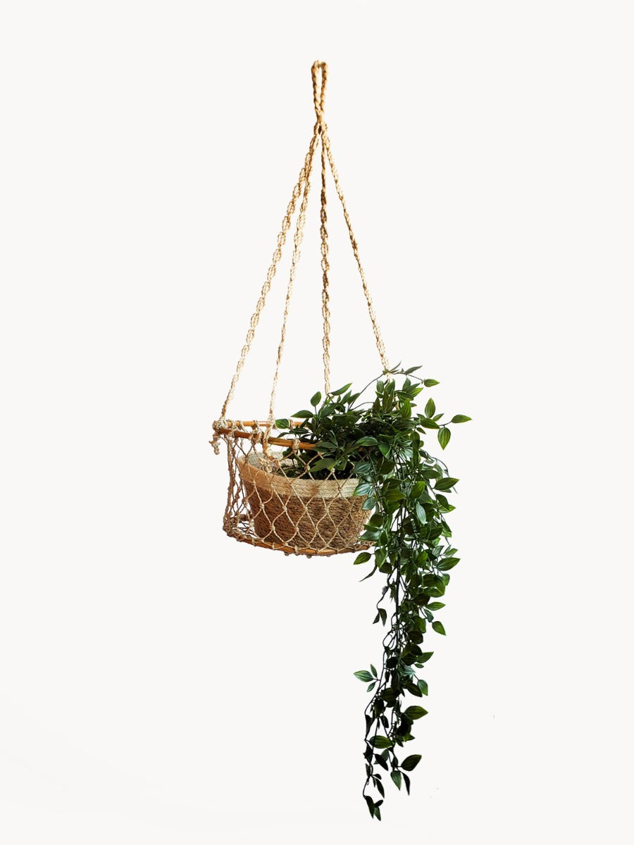 Single Hanging Basket