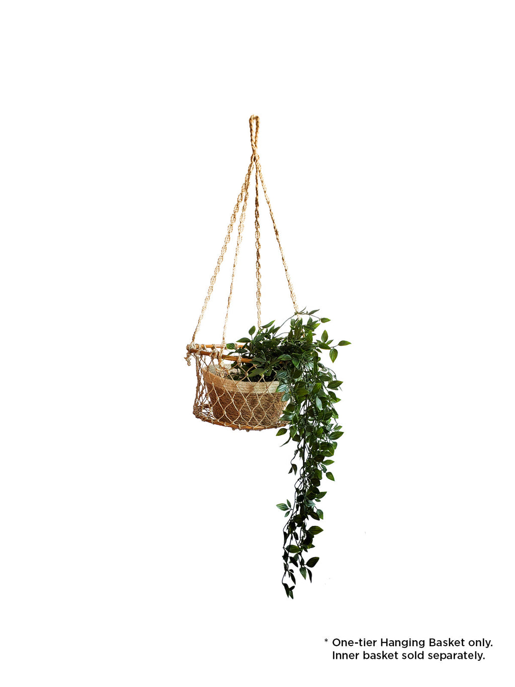 Single Hanging Basket